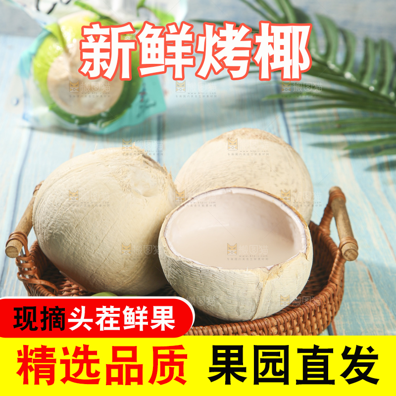 浅底上的泰国进口烤椰