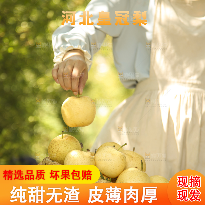 手里拿着新鲜皇冠梨