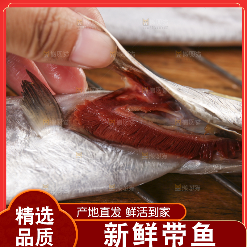深底新鲜带鱼