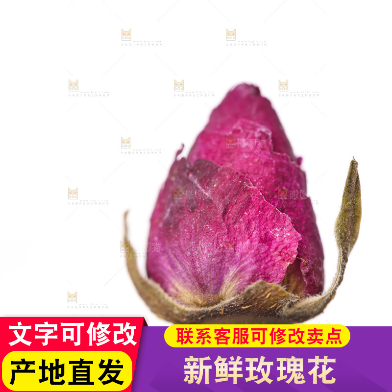 白底上的玫瑰花干