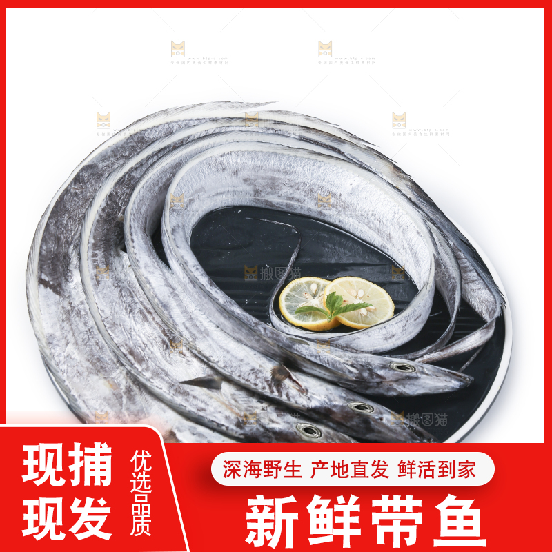 白底上的带鱼