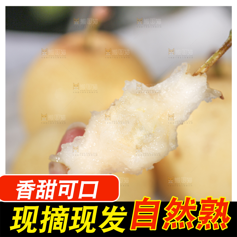 浅底上的皇冠梨