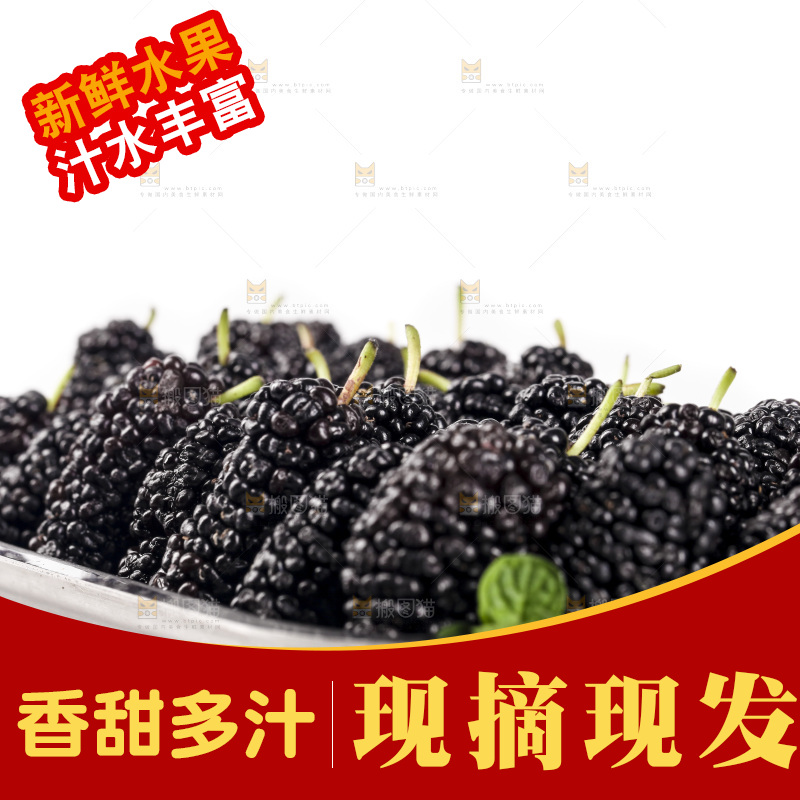 白底上的桑葚