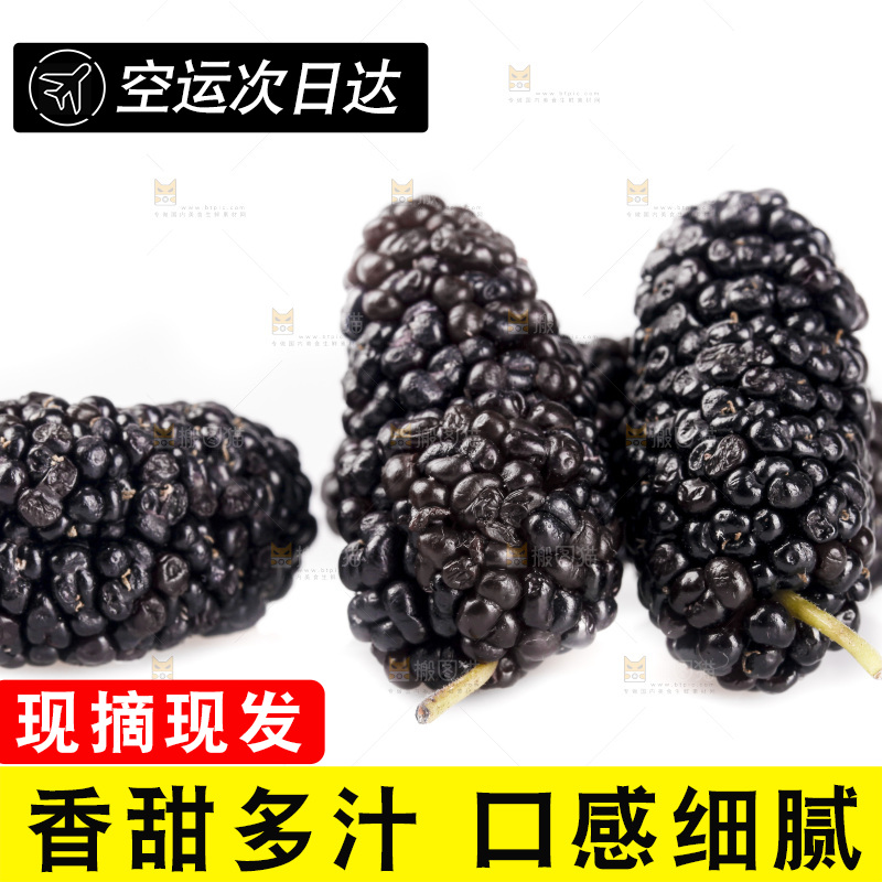 白底上的桑葚