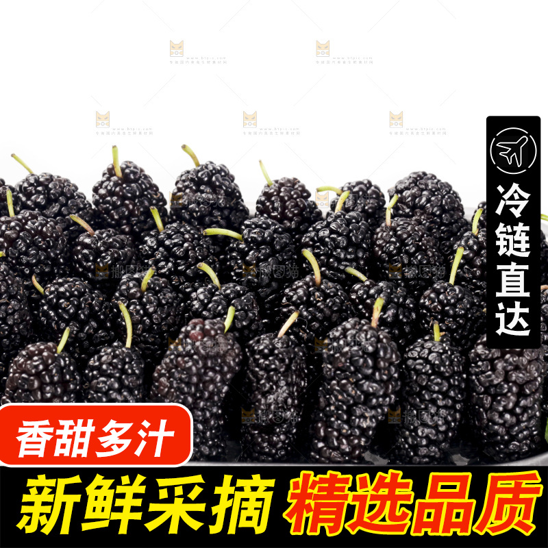 白底上的桑葚