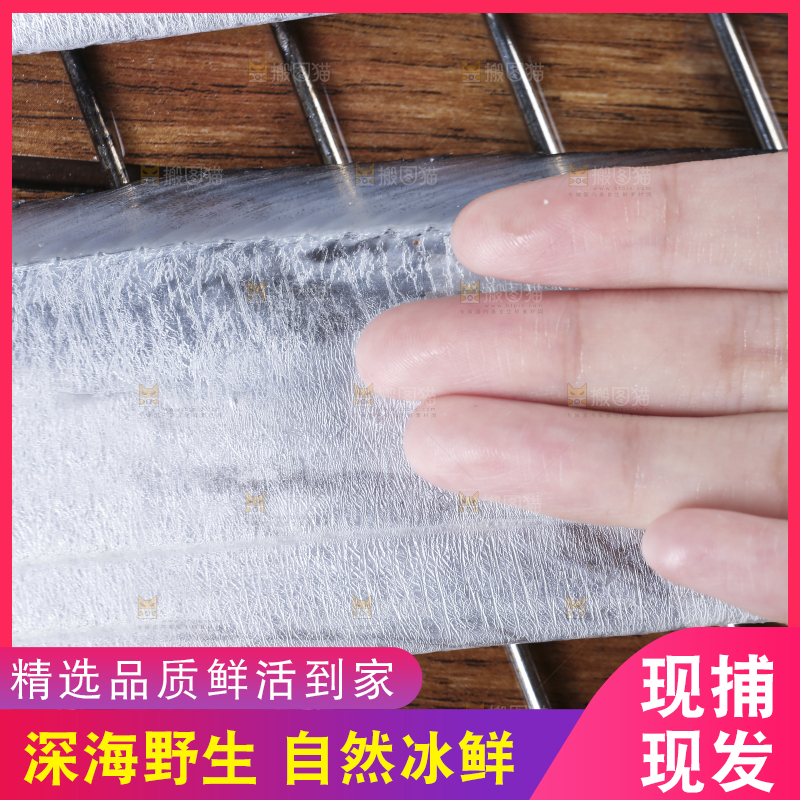 深底新鲜带鱼
