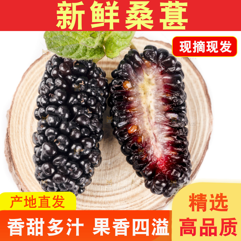 白底上的桑葚