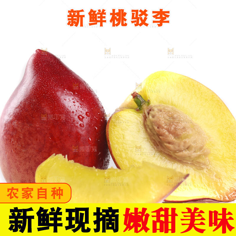 白底上的桃驳李