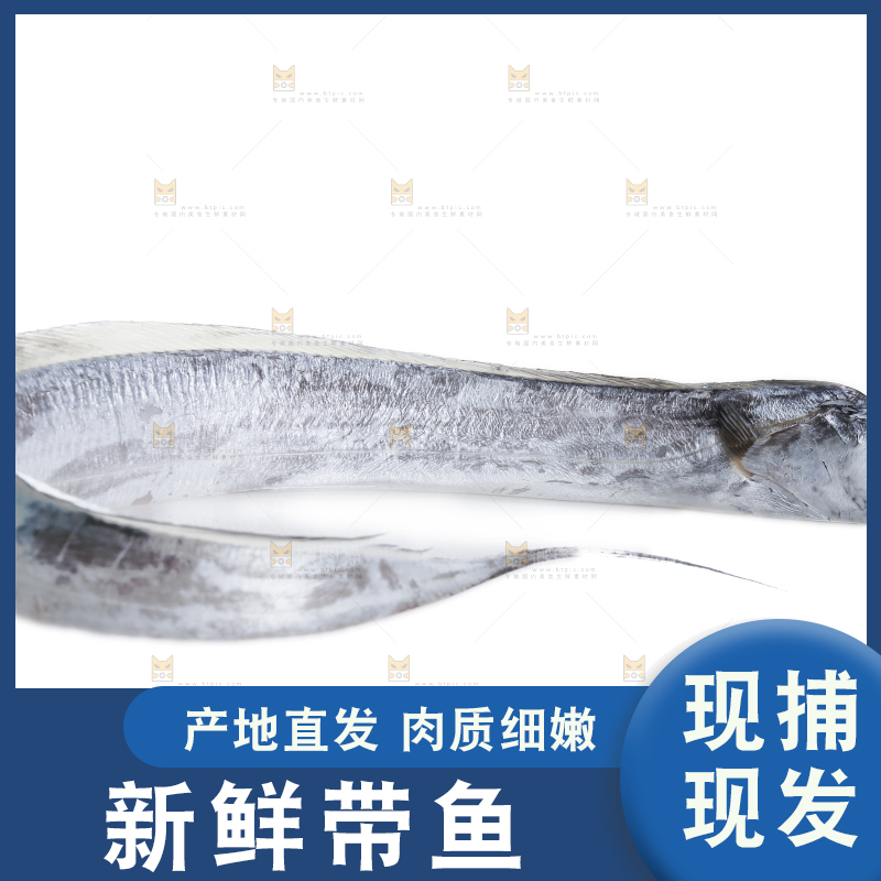 白底上的带鱼