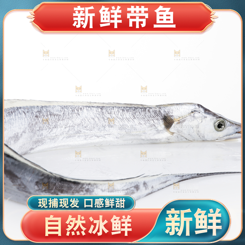 白底上的带鱼