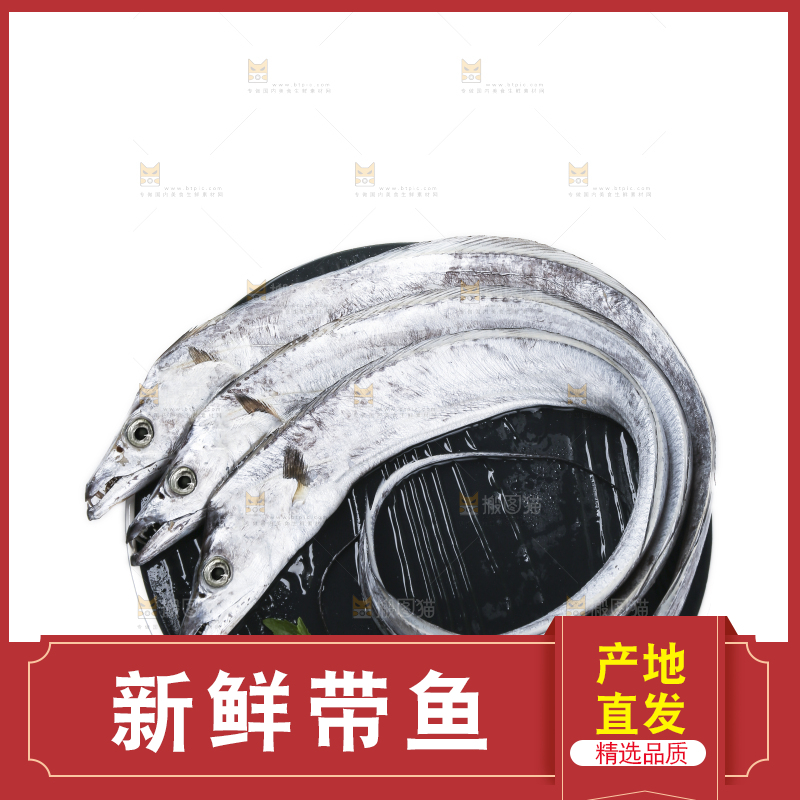 白底上的带鱼