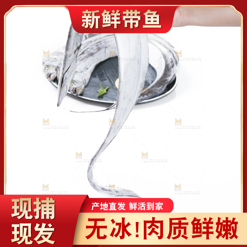 白底上的带鱼