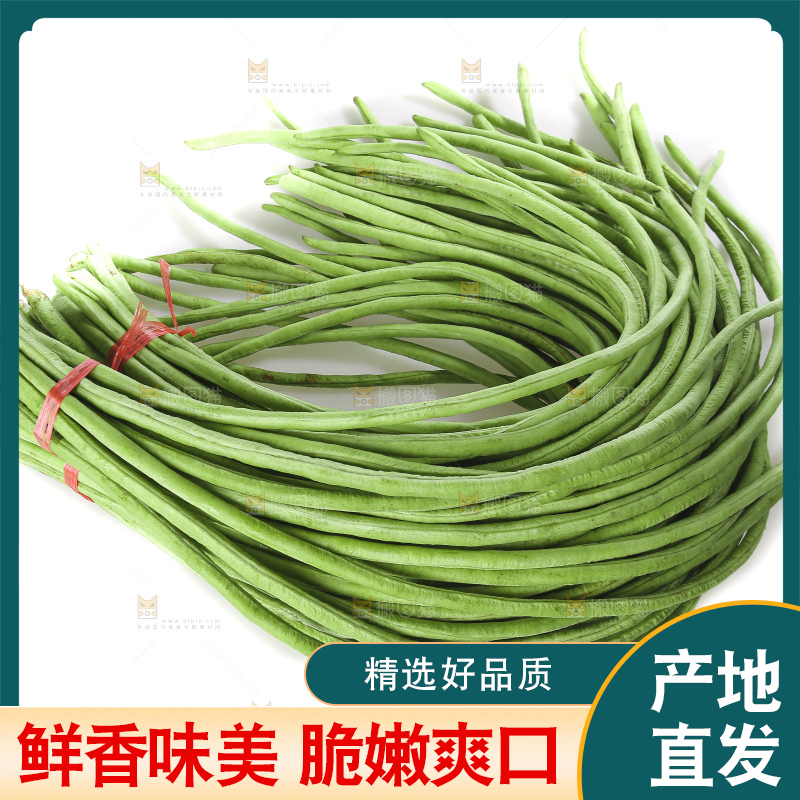 白底上的长豇豆