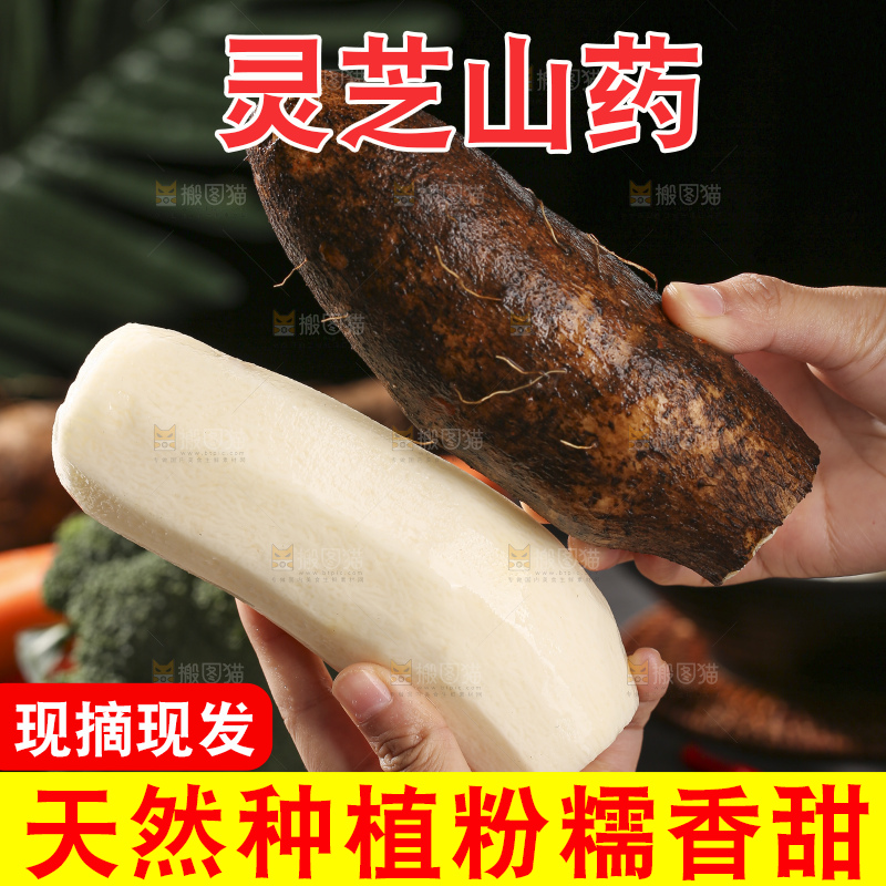 深底上放着灵芝山药