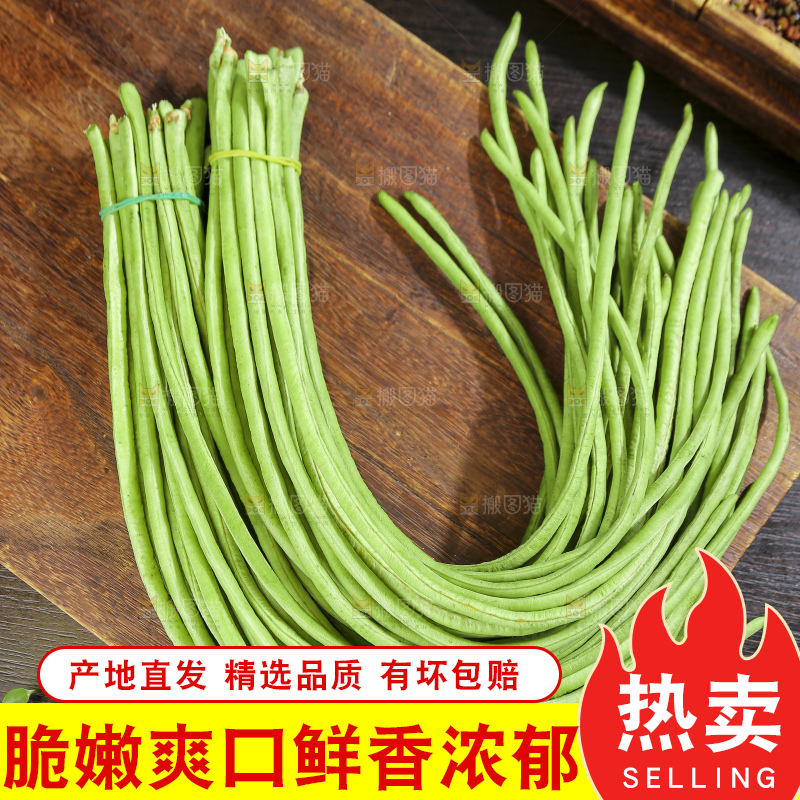 木底上的山东鲜长豆角