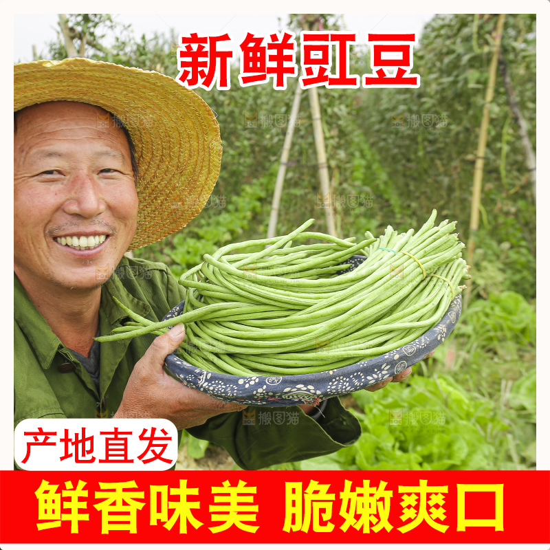 手里拿着长豇豆