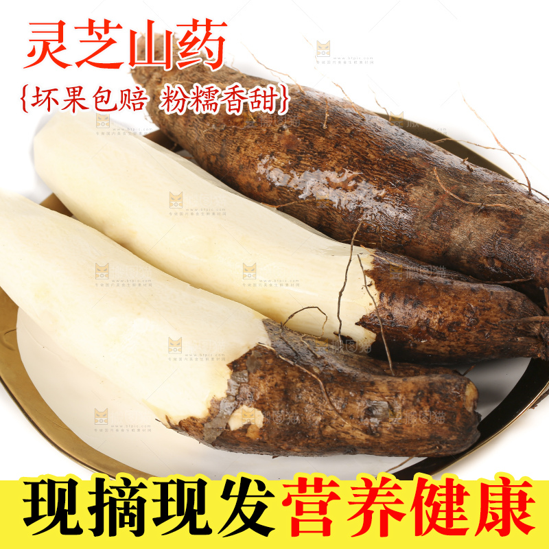 白底上的云南灵芝山药