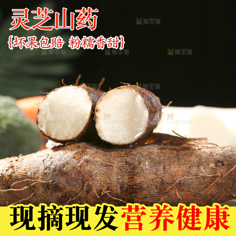 深底上放着灵芝山药