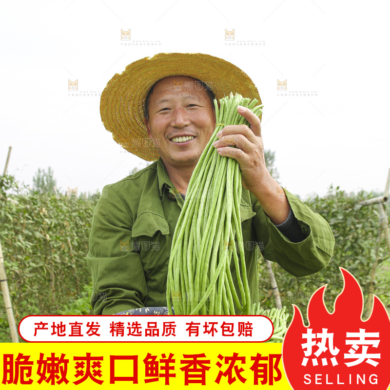 手里拿着长豇豆
