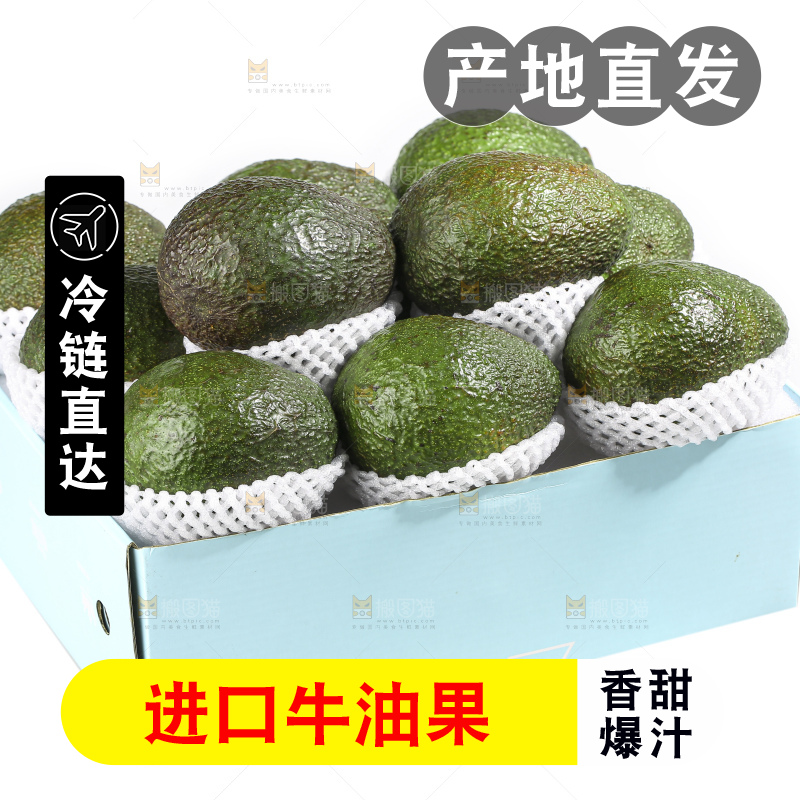 白底上的牛油果