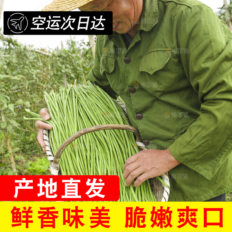 手里拿着鲜嫩长豆角