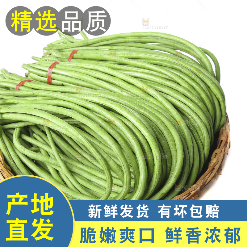 白底上的长豆角