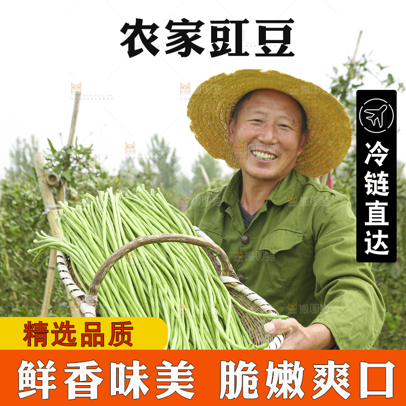 手里拿着鲜嫩长豆角