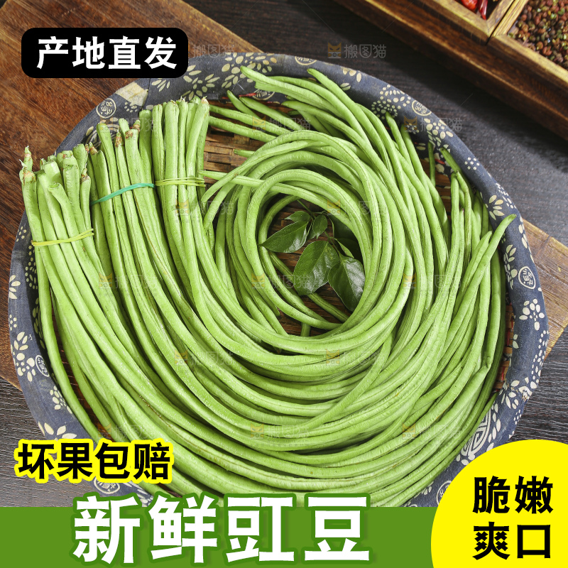 木底上的山东鲜长豆角