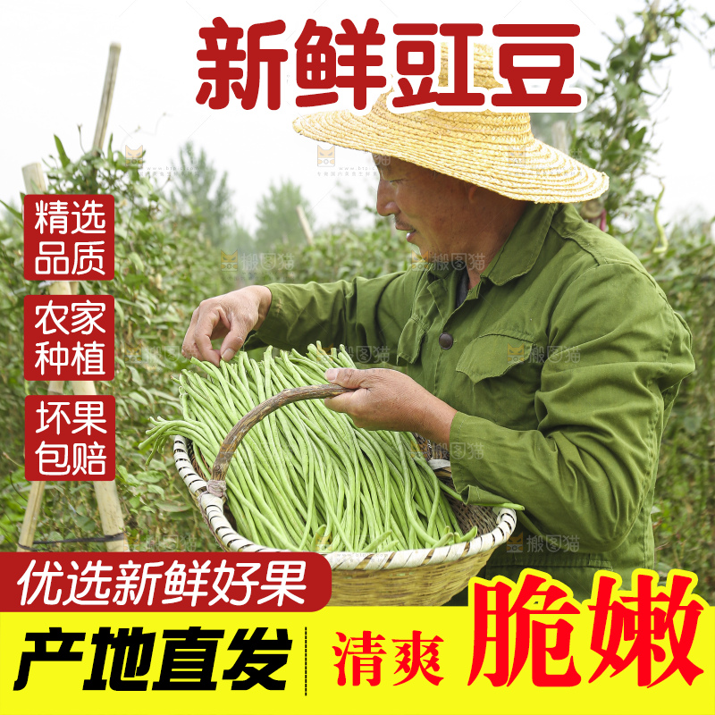 手里拿着鲜嫩长豆角
