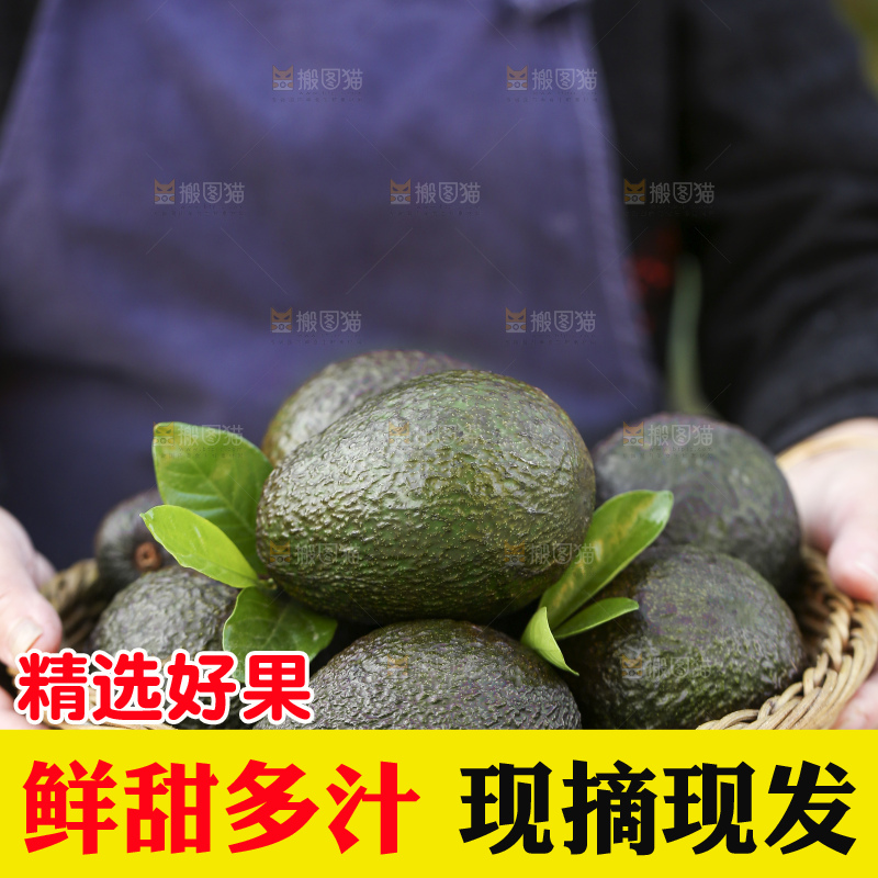 手里拿着秘鲁牛油果