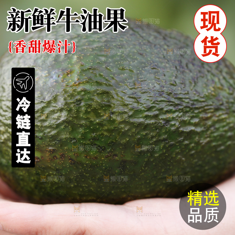 手里拿着秘鲁牛油果