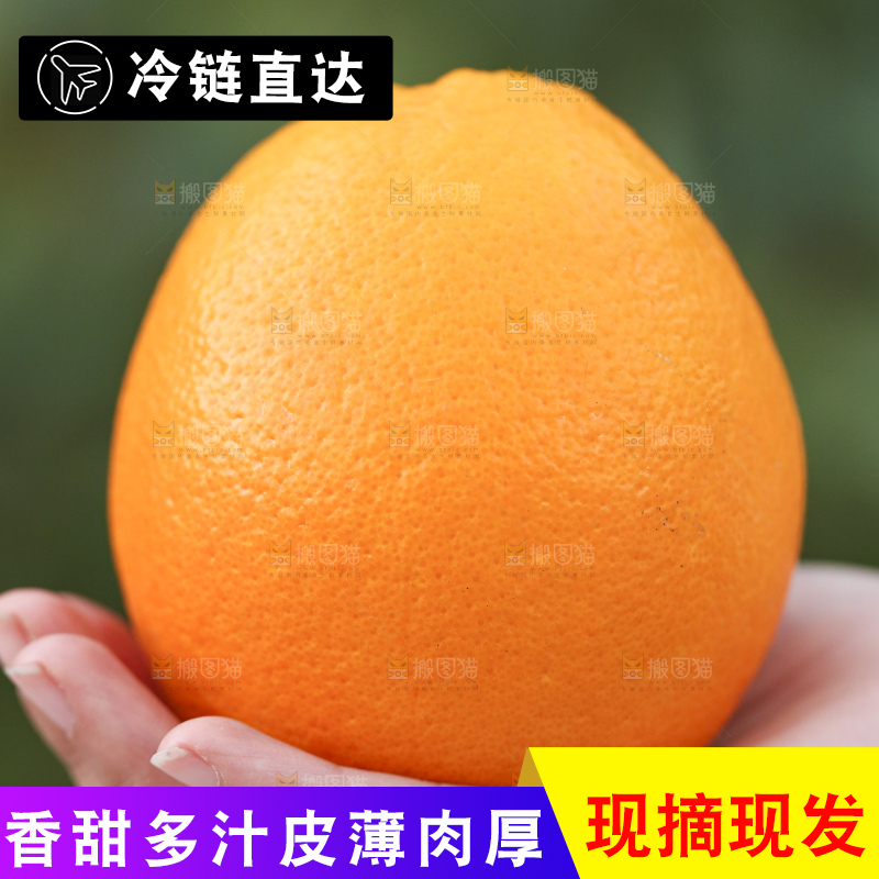 手里拿着赣南脐橙