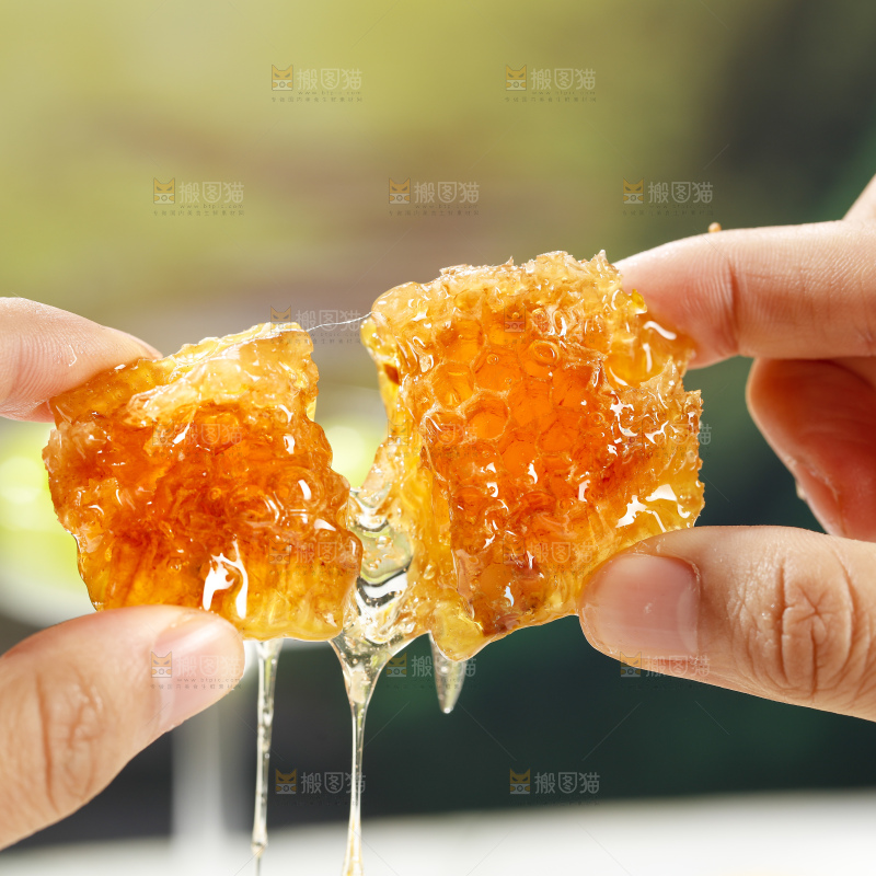 浅底上的蜂巢蜜