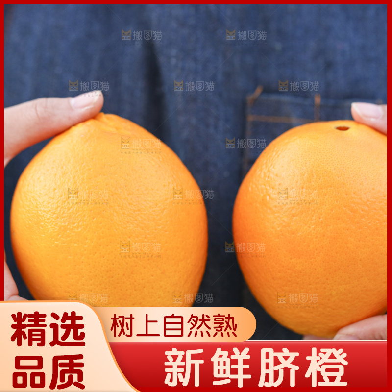 手里拿着赣南脐橙