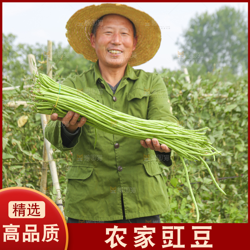 手里拿着长豇豆