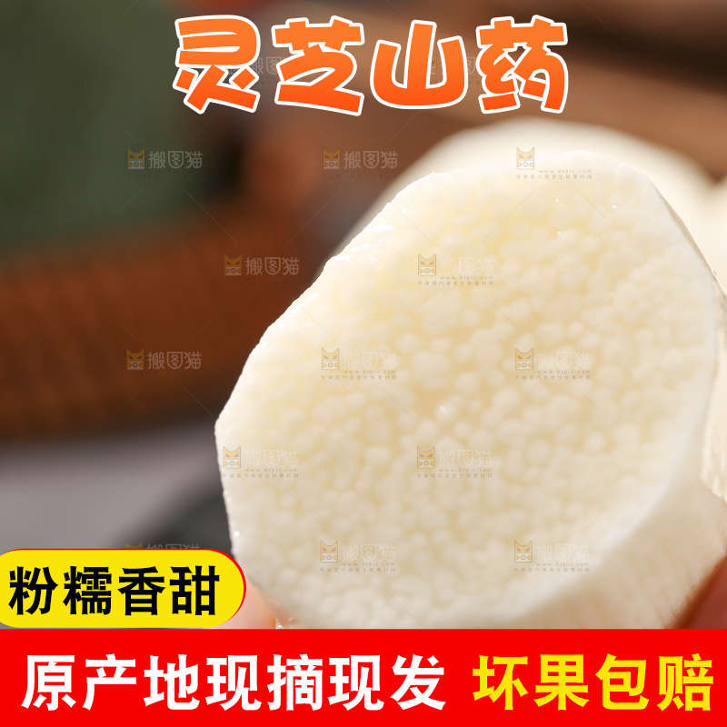 深底上放着灵芝山药