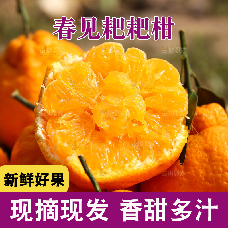草地上的耙耙柑