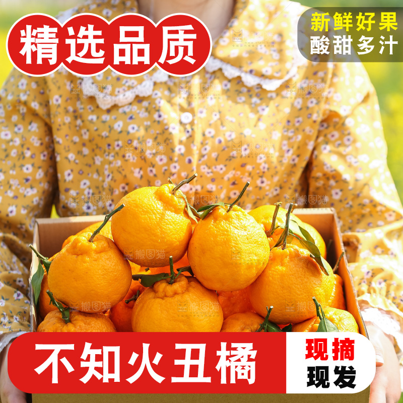 手里拿着丑八怪