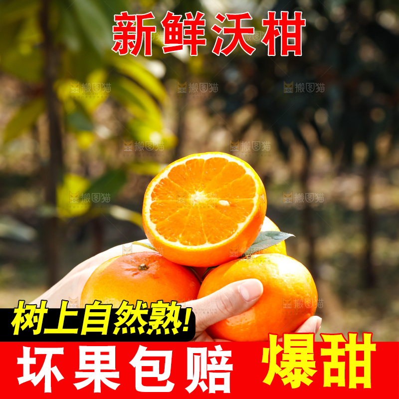 手里拿着沃柑