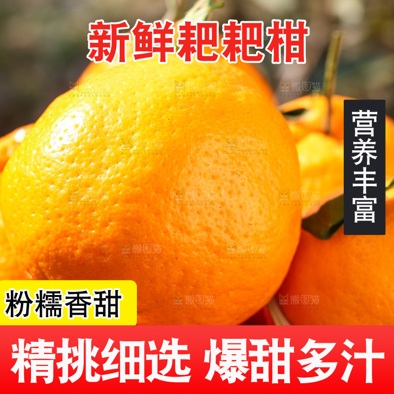 草地上的耙耙柑