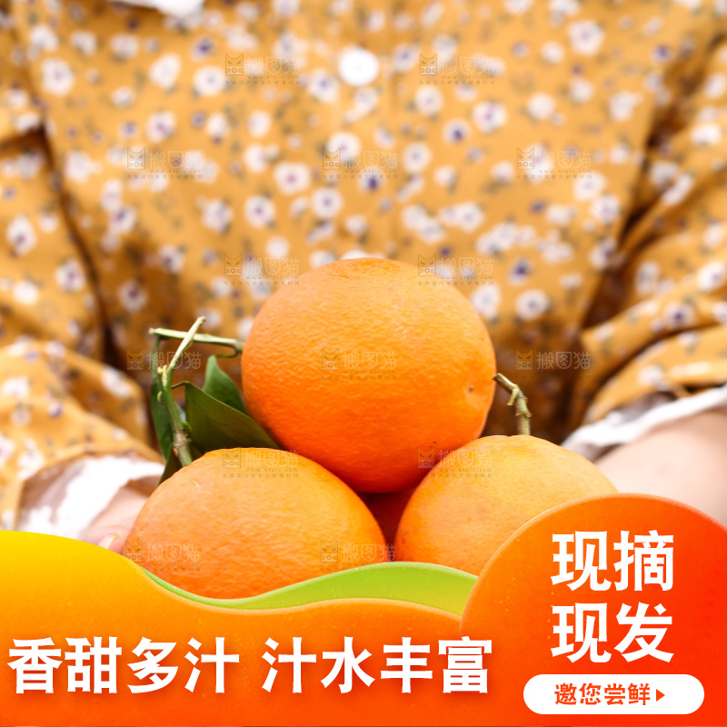 手里拿着赣南血橙