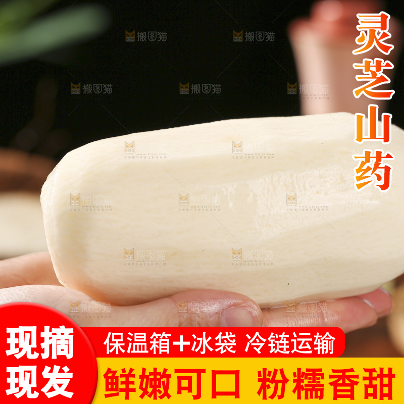 深底上放着灵芝山药