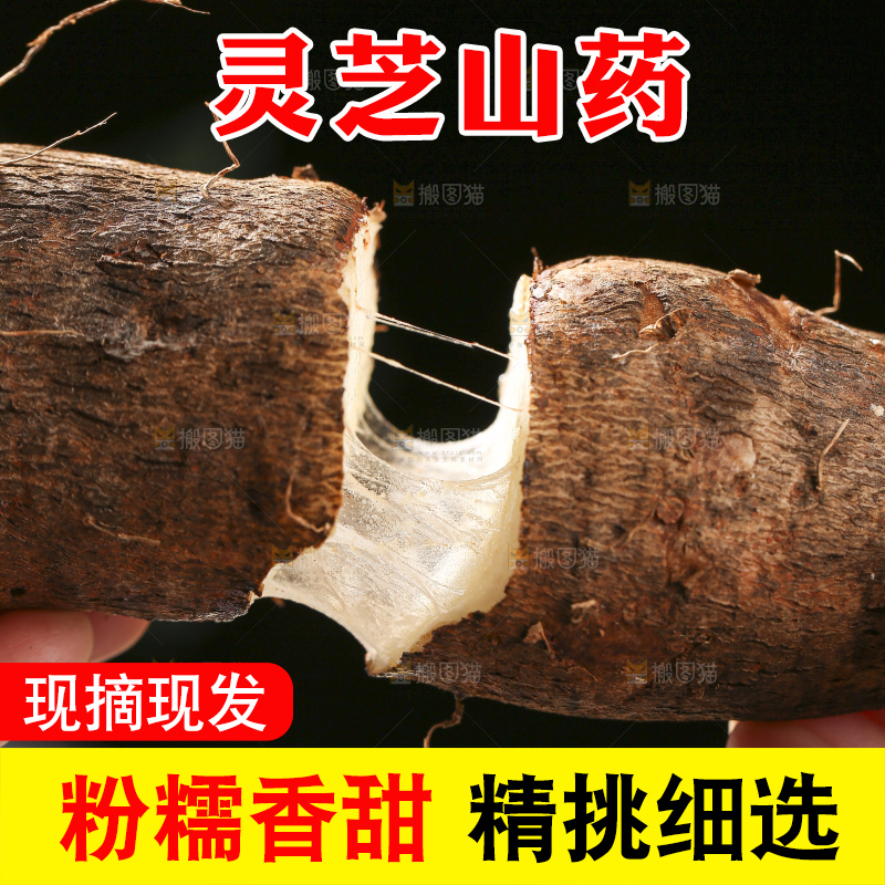 深底上放着灵芝山药
