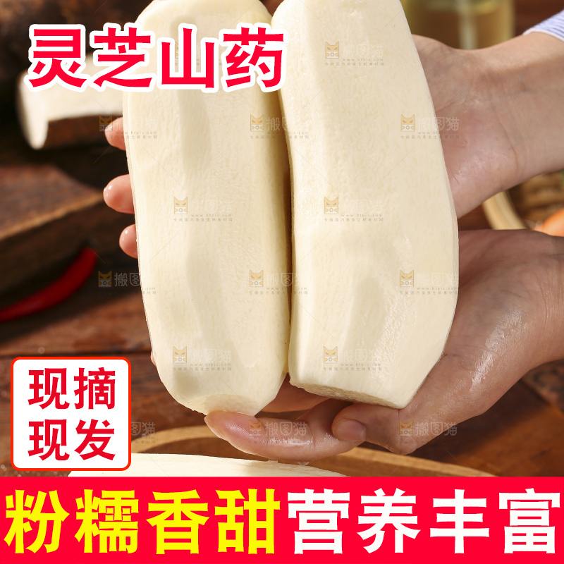 深底上放着灵芝山药