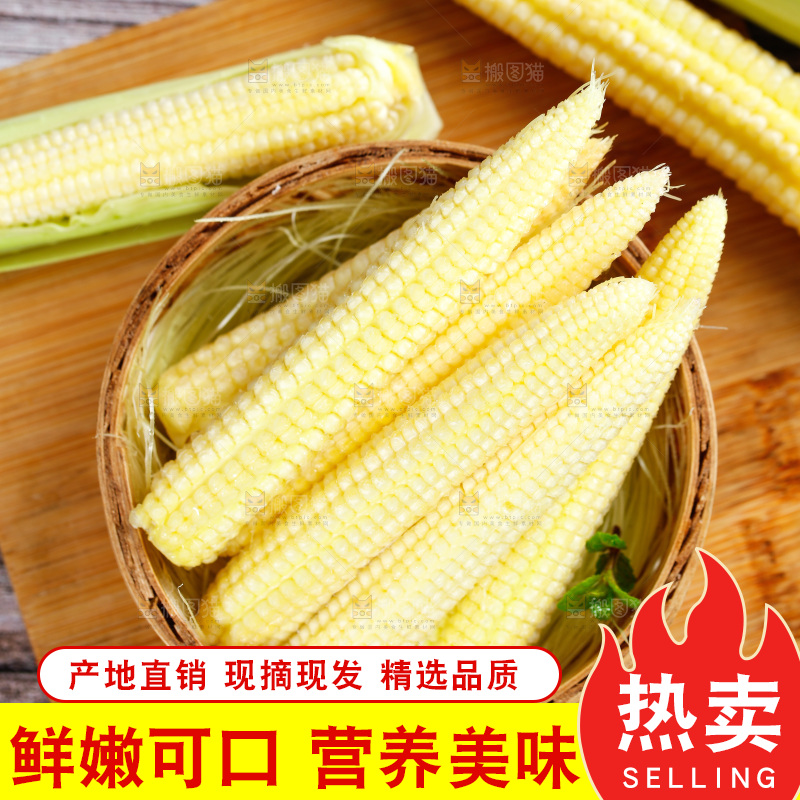 深底上的玉米笋