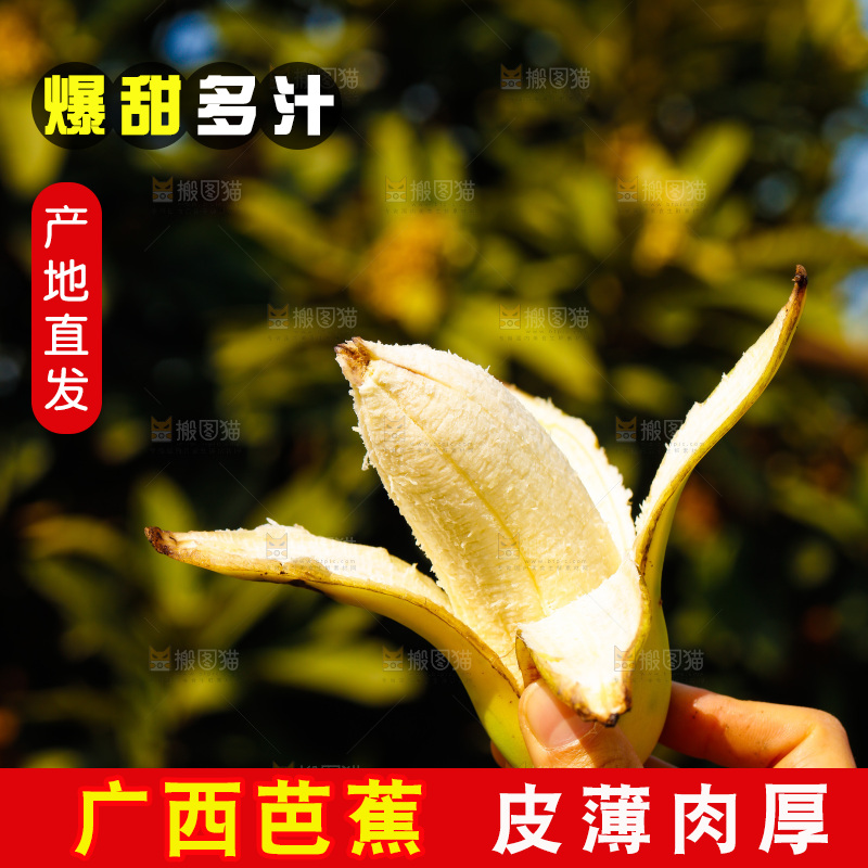 手里拿着广西芭蕉