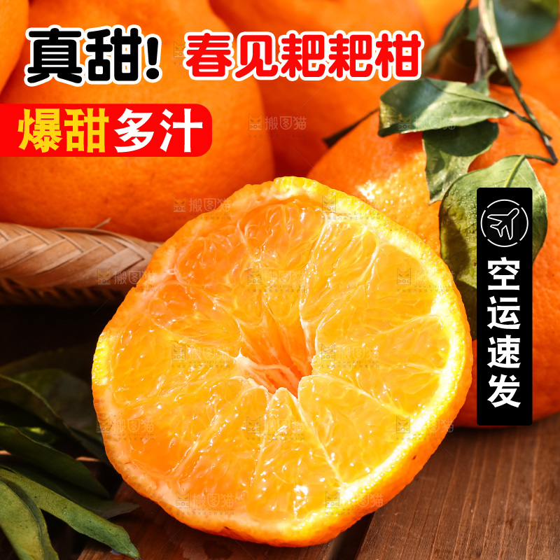 草地上的耙耙柑
