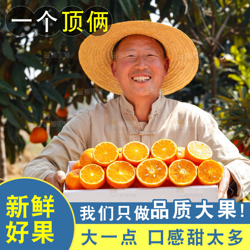 手里拿着沃柑