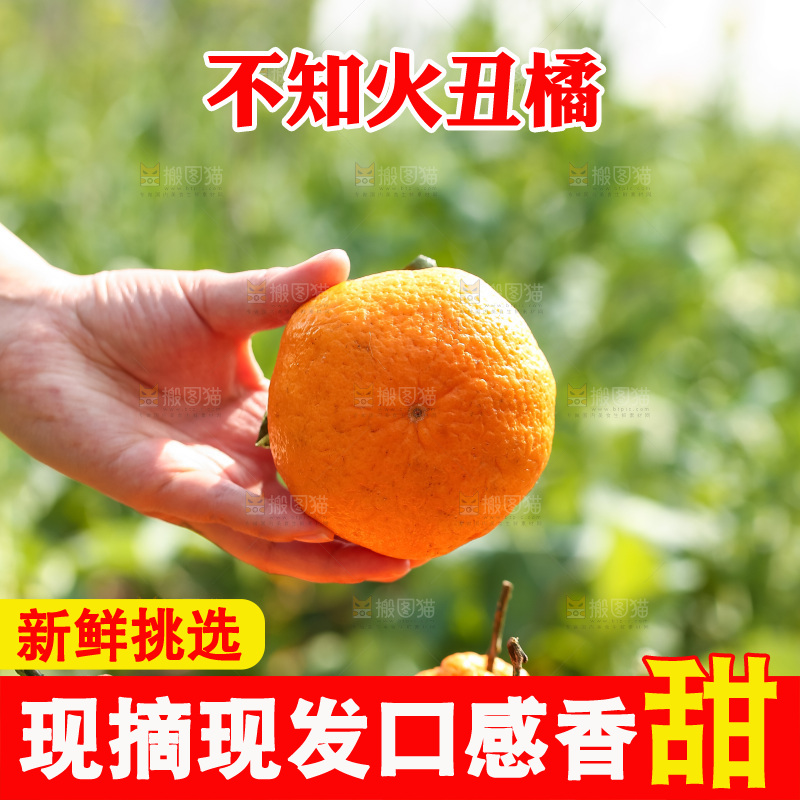 手里拿着丑八怪