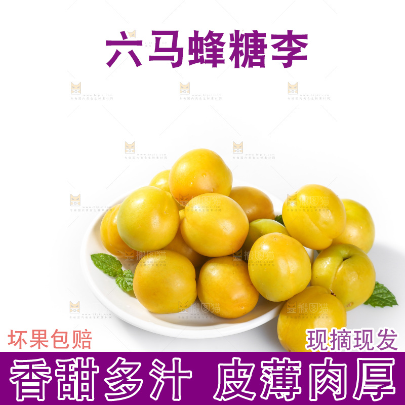 白底上的蜂糖李
